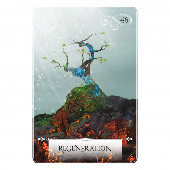 Wisdom of the oracle divination kortos Hay House