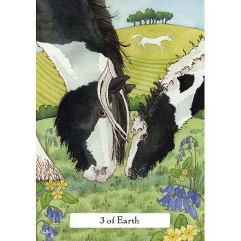 The Witches' Wisdom Tarot kortos Hay House