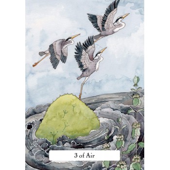 The Witches' Wisdom Tarot kortos Hay House