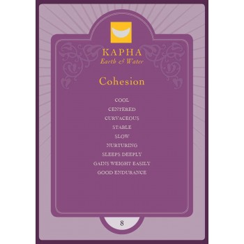 Vedic Astrology kortos Insight Editions