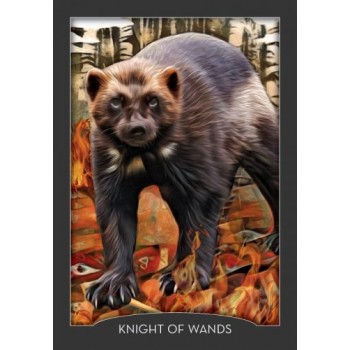 Guardian Of The Night Tarot kortos Hay House