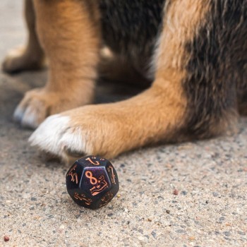 DOGS Dice Set: Luna kauliukų rinkinys
