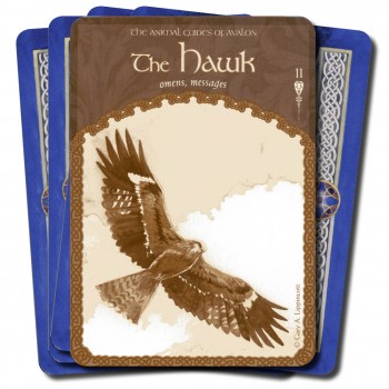 The Wisdom of Avalon Oracle kortos Hay House