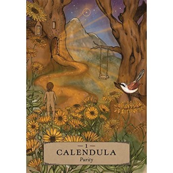 Herbal Astrology Oracle kortos Hay House