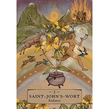 Herbal Astrology Oracle kortos Hay House