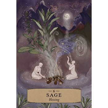 Herbal Astrology Oracle kortos Hay House