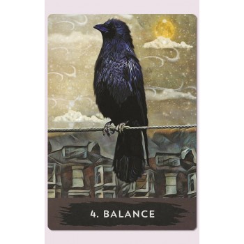 Urban Crow Oracle kortos Hay House