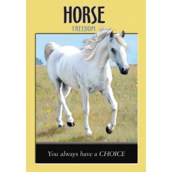 Power Animal Oracle kortos Hay House
