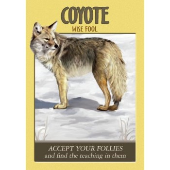 Power Animal Oracle kortos Hay House