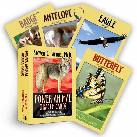 Power Animal Oracle kortos Hay House