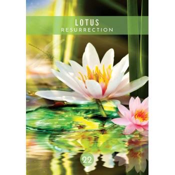 Messages from the Spirits of Nature Oracle kortos Hay House