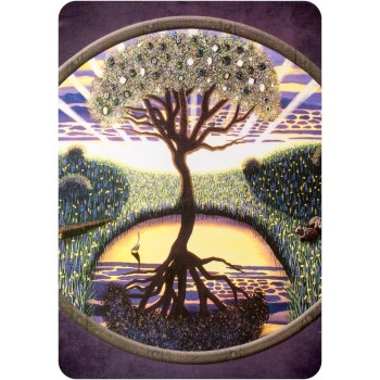 Earth Magic Oracle kortos Hay House