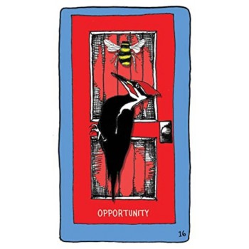 Animal Apothecary Oracle kortos Hay House