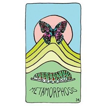 Animal Apothecary Oracle kortos Hay House