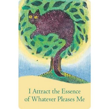 The Law Of Attraction kortos Hay House