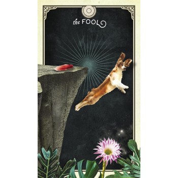 The Tarot of Curious Creatures kortos Hay House The Tarot of Curious Creatures kortos Hay House