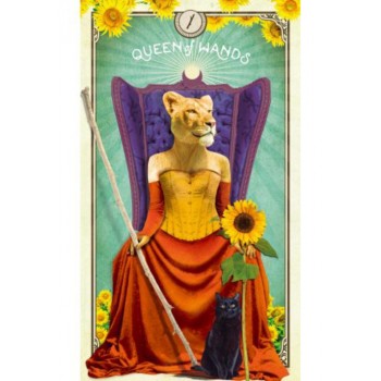 The Tarot of Curious Creatures kortos Hay House
