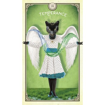 The Tarot of Curious Creatures kortos Hay House The Tarot of Curious Creatures kortos Hay House