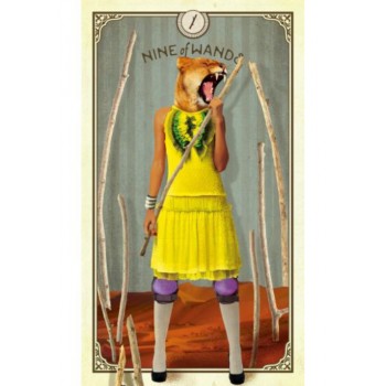 The Tarot of Curious Creatures kortos Hay House