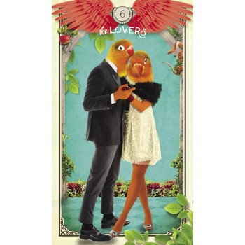 The Tarot of Curious Creatures kortos Hay House The Tarot of Curious Creatures kortos Hay House