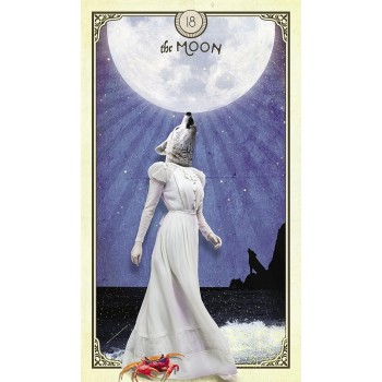 The Tarot of Curious Creatures kortos Hay House The Tarot of Curious Creatures kortos Hay House