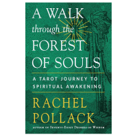 A Walk through the Forest of Souls knyga Weiser Books