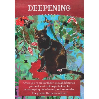Divine Abundance Oracle kortos Hay House