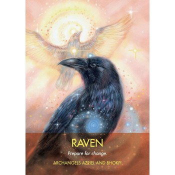 Archangel Animal Oracle kortos Hay House
