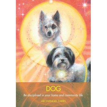Archangel Animal Oracle kortos Hay House