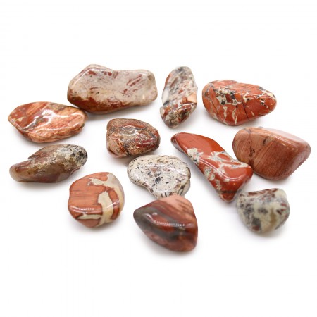 Light Jasper - Brecciated akmuo (12 vnt. M dydžio) Ancient Wisdom
