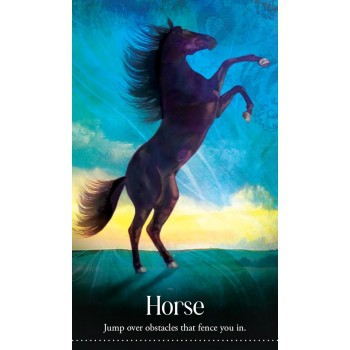 Wild Dreams Animal Oracle Kortos Blue Angel