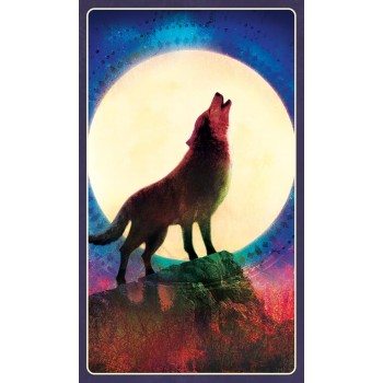 Wild Dreams Animal Oracle Kortos Blue Angel