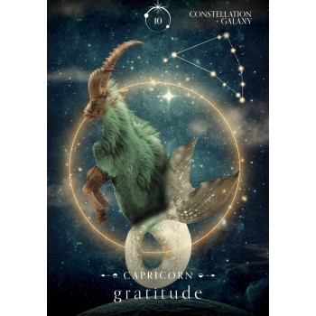 Oracle of the Universe kortos Rockpool