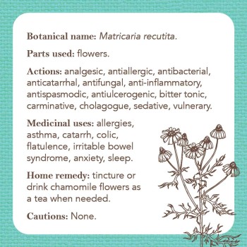 Apothecary Flashcards kortos Rockpool