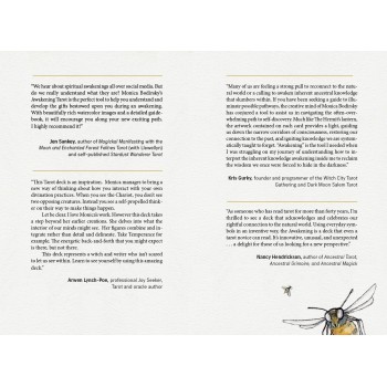 The Awakening Tarot : An Elemental Approach Kortos Schiffer Publishing