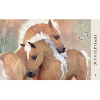 Horse Wisdom Oracle kortos Blue Angel