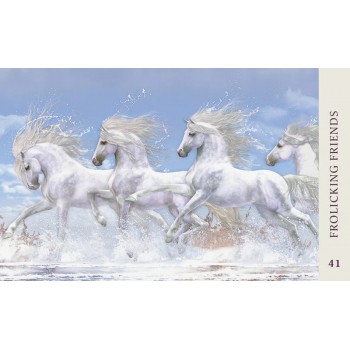 Horse Wisdom Oracle kortos Blue Angel