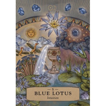 The Herbal Astrology Pocket Oracle kortos Hay House