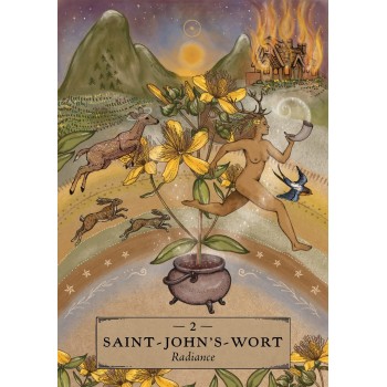 The Herbal Astrology Pocket Oracle kortos Hay House