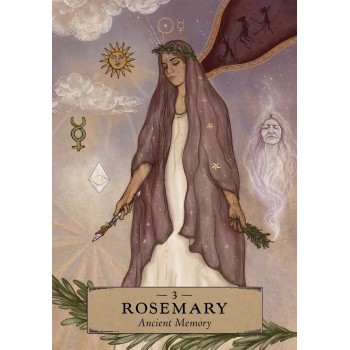 The Herbal Astrology Pocket Oracle kortos Hay House