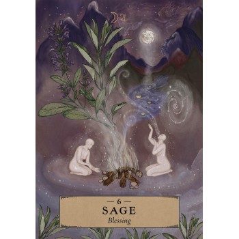 The Herbal Astrology Pocket Oracle kortos Hay House