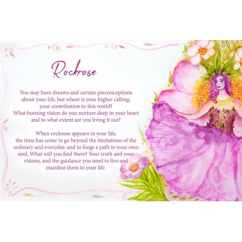 Essential Oils Oracle kortos Earth Dancer
