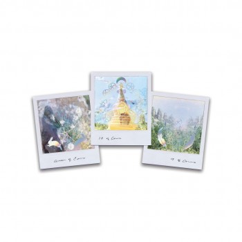Wild Lands Tarot kortos Sacred Scribe Publishing