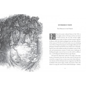 The Sherwood Oracle kortos Sterling Ethos
