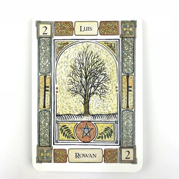 The Celtic Tree Oracle kortos Orange Hippo