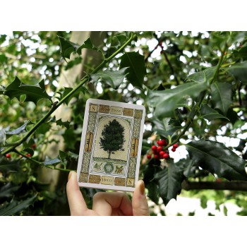 The Celtic Tree Oracle kortos Orange Hippo