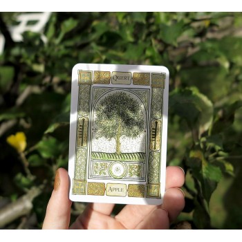 The Celtic Tree Oracle kortos Orange Hippo